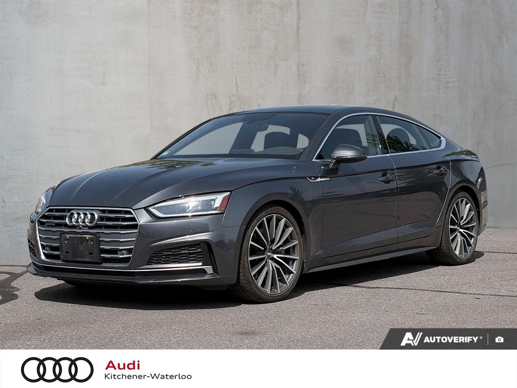 Gray (Daytona Grey Pearl) 2019 Audi A5 Sportback Sedan Automatic