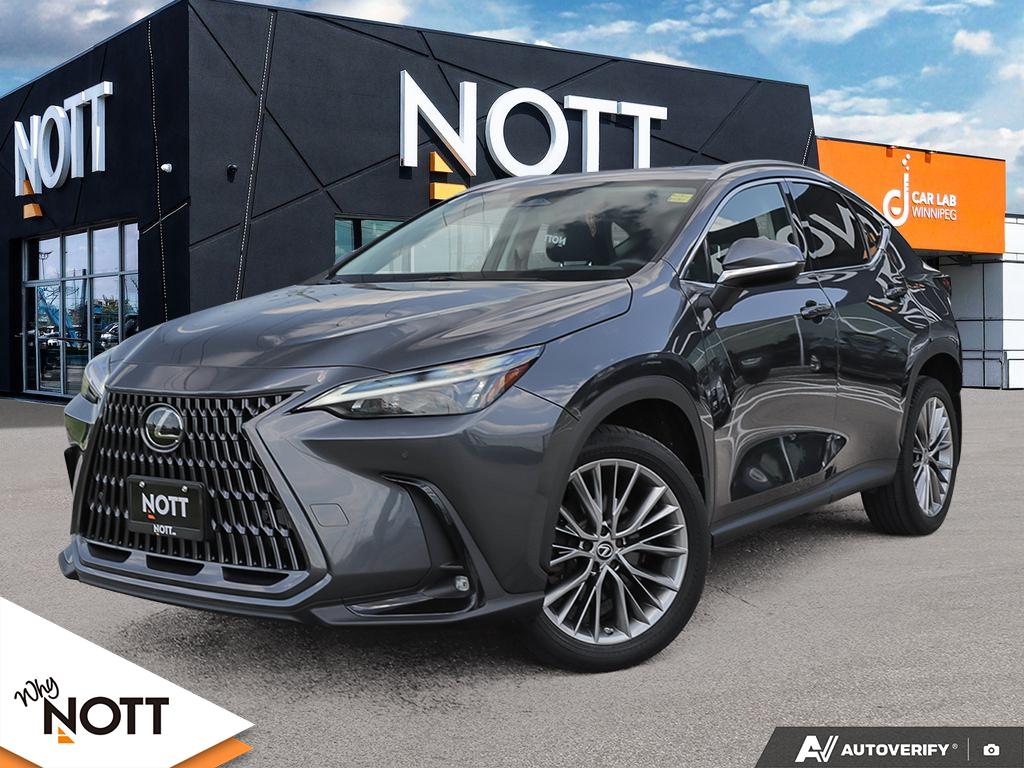 Gray 2022 Lexus NX SUV / Crossover All-Wheel Drive Automatic