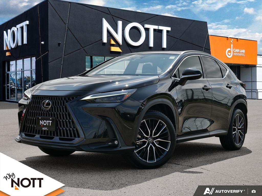  2023 Lexus NX   